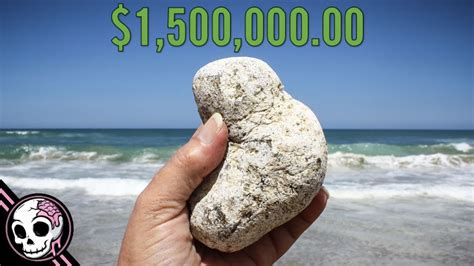 whale vomit ambergris price|Why Is ‘Whale Vomit’ So Valuable That It Sells for .